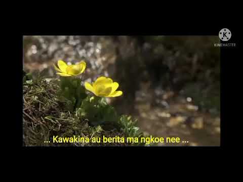 Inanon au tai ni mwamwanaga