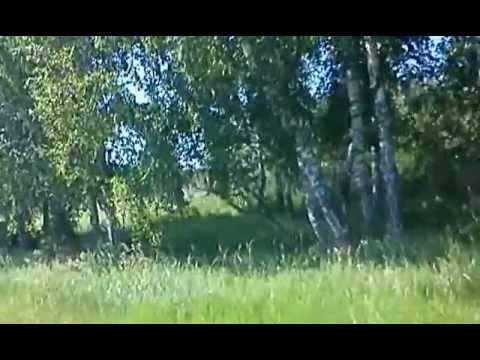 Cura di alcolismo e tossicodipendenza Cheboksary Che fare se il marito beve una volta alla settimana