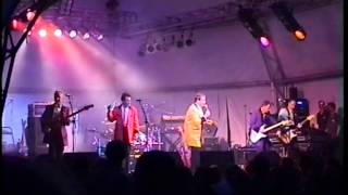Showaddywaddy - You Got What It Takes