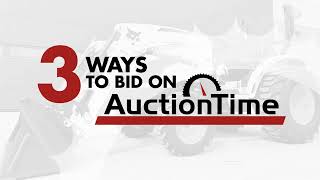 Ways To Bid On AuctionTime