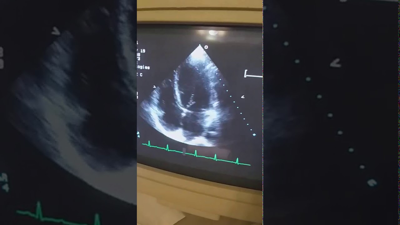 Daniel Omar Sato Gastélum-1