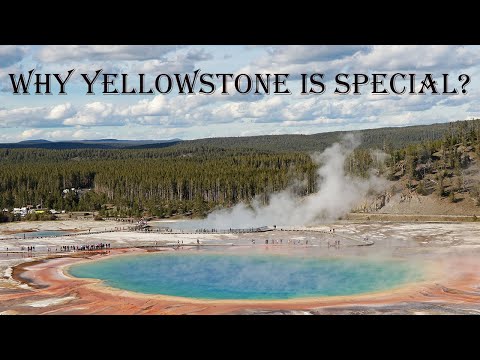 Geysers & Hot springs at Yellowstone National Park | WestBound America