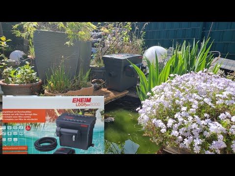 Watch Video on YouTube