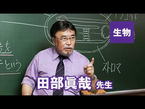 コンピュータ理工学科 東進　講師紹介 - 生物 - 田部 眞哉先生