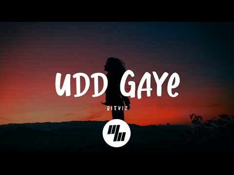 Ritviz - Udd Gaye (Lyrics)