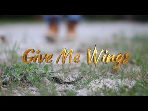 Give Me Wings