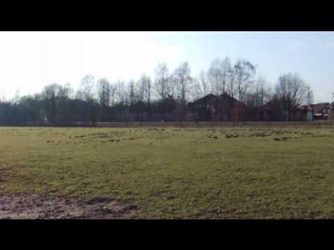 caper gebisslos reiten am 16 02 2011