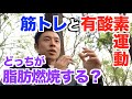 【#51】筋トレと有酸素運動はどっちが脂肪燃焼するのか？そもそも有酸素運動はなぜ脂肪を燃やすんだい？有酸素運動のいろんな疑問に答えます。