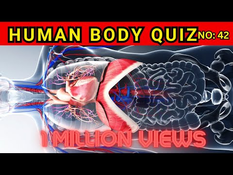 Human Anatomy Questions And Answers No 42