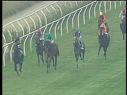 Galoppo 12/07/2017 - 4ª corsa