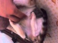 First Tickle Play With Skittles