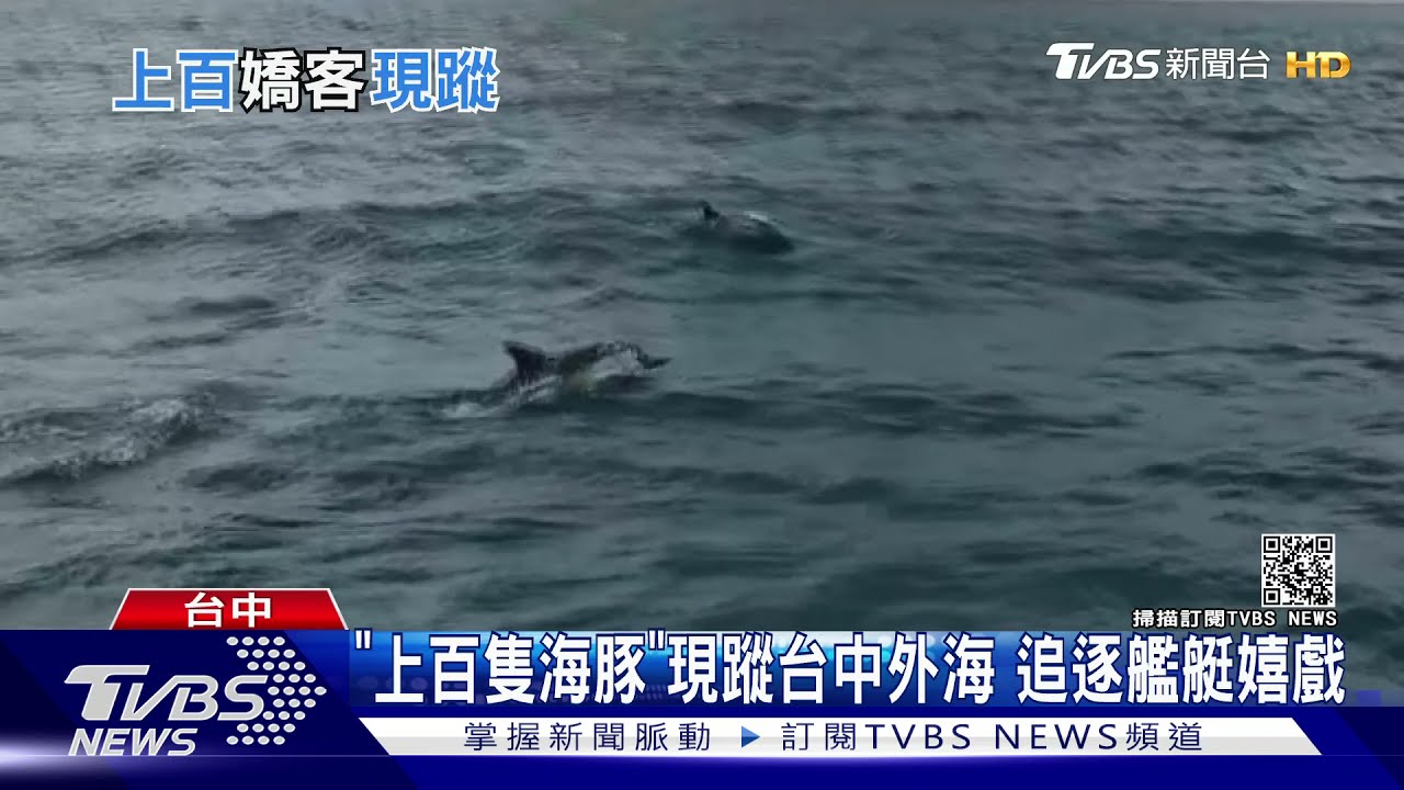 「上百隻海豚」現蹤台中外海 追逐艦艇嬉戲
