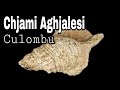 Chjami Aghjalesi : Culombu (Paroles) 