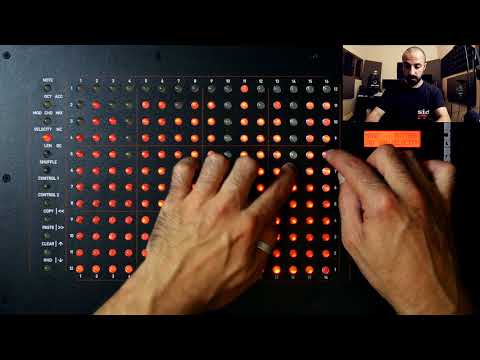 MODE MACHINES SEQ12 - Monophonic Bassline