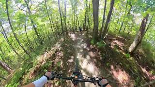 Royalty - Carvins Cove