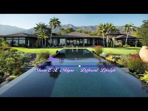 Shane E Ft Nklyne - Different Lifestyle (Official Audio)