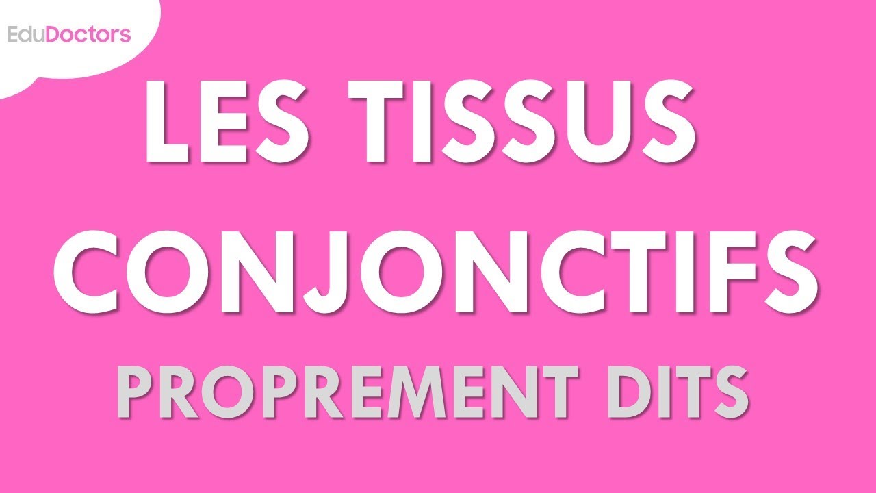 Les tissus conjonctifs proprement dits - Histologie
