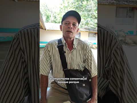 Taller MoSCAL NDFyB Núcleo Kuway, Nueva York y, El Retorno, Guaviare, Andrés Buitrago