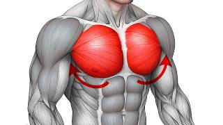 17 Exercícios Que Finalmente Fazem Seu Peitoral Crescer em Casa