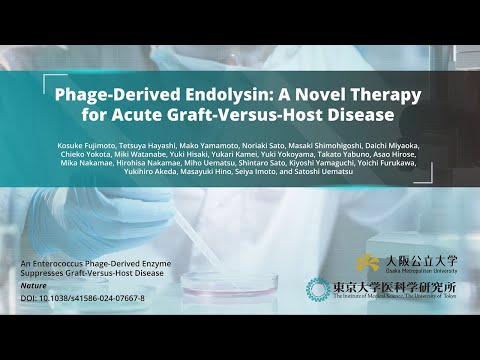 公共経営学科 Phage-Derived Enzyme Targets E. faecalis Biofilms to Mitigate Acute Graft-Versus-Host Disease