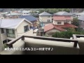 動画1