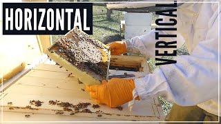 How Did Horizontal Beehive Do in Winter?