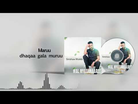 Sinishaw Muleta-Wal Nyaannaaree?_New Ethiopian Oromo Music 2025(official lyrics Video)