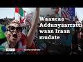 Waancaa Addunyaarratti Taateen Ameerikaatti Garee Iraan Mudate Maali BBC News Afaan Oromoo