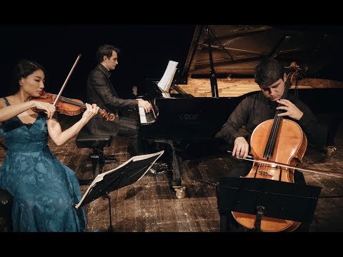 Trio Kanon - Johannes Brahms PianoTrio in B major op.8