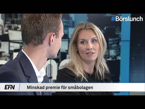 En trio heta småbolag | Börslunch 8 september