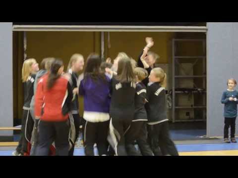 U 15 Juniorinnen vom Magdeburger FFC gewinnen Allianz Hallenpokal