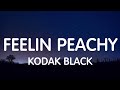 Kodak Black Feelin Peachy Lyrics New Song