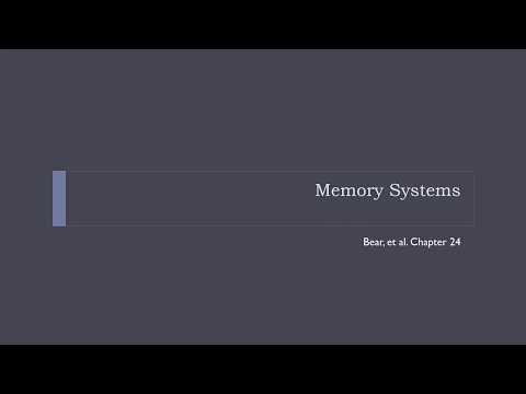 OSSM Neuro Chapter 24 - Memory Systems