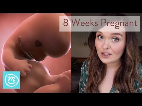 8 Weeks Pregnant: What You Need To Know - Channel Mum