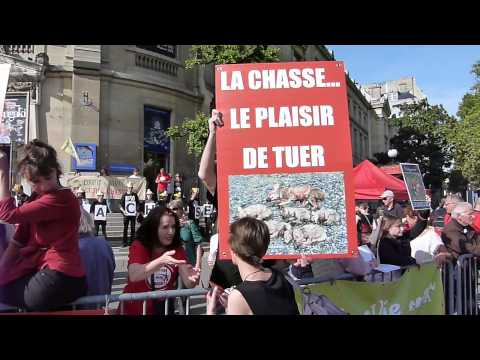 comment participer a une chasse a courre