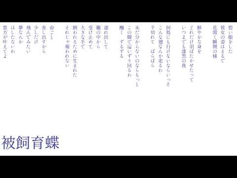 被飼育蝶 踊るよ えのやま Feat 笹屋季 Original Song 被飼育蝶 踊るよ えのやま Feat 笹屋季 Original Song