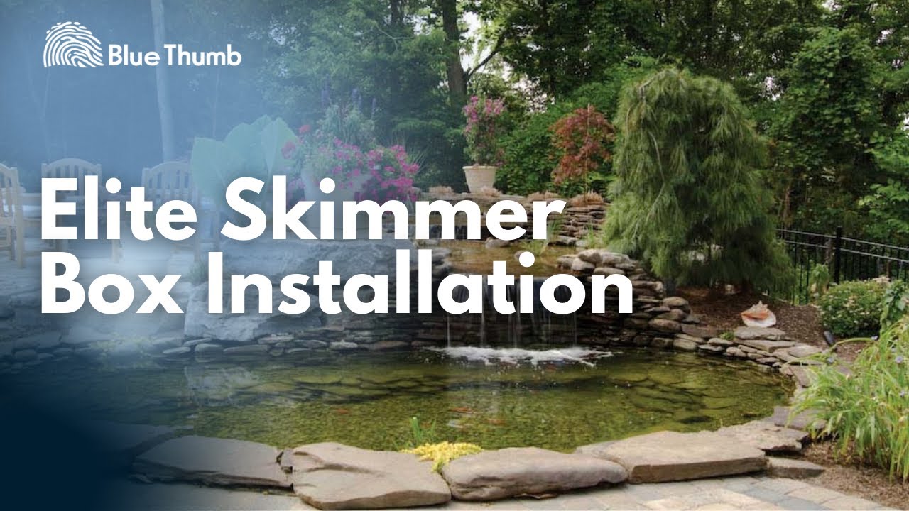 Elite Skimmer Box Installation