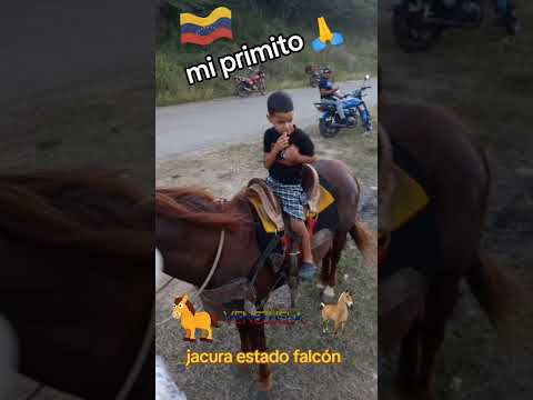 el caballo el mojino jacura estado falcón