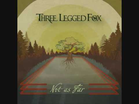 Three Legged Fox - Maybe I'm Sorry | Reggae/Rock Music