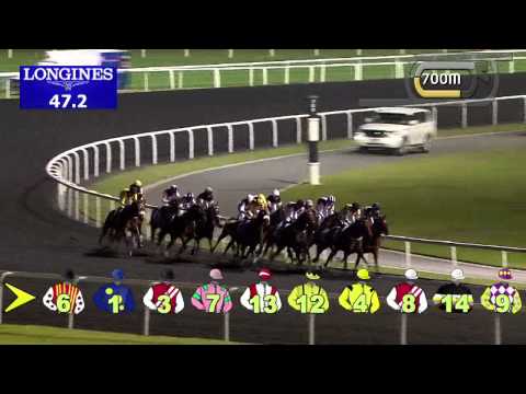 02.01.2014 Meydan (Dubai-UAE) 2.Race Al Hadeerah - Handicap 1.400 m