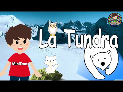 La Tundra. ¿Qué es la tundra? Ecosistemas de la tierra. Video Educativo