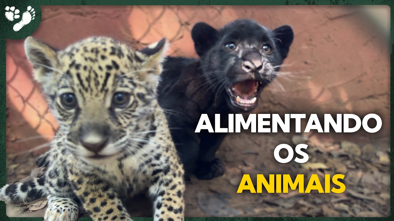 FEEDING THE IOP ANIMALS WITH MY MOTHER!