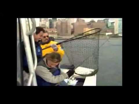 Places to Fish - NYSDEC