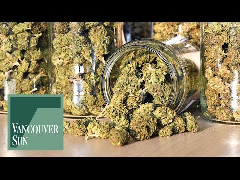 download lagu mp3 mp4 Dispensary Vancouver Bc, download lagu Dispensary Vancouver Bc gratis, unduh video klip Dispensary Vancouver Bc