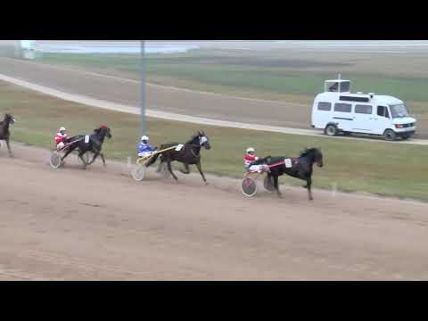 2017.11.25. 3. futam - VIRÁGOS DÍJ