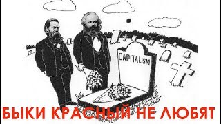 Быки красный не любят