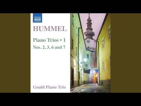 Piano Trio No. 3 in G Major, Op. 35: I. Allegro con brio