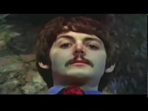 BEETLES CROSSROADS PROGRAM 11 - Plastic Beetle