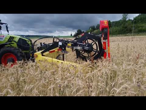 Triticale bio fauche andaine par Paul