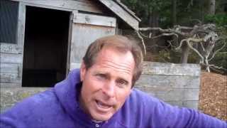 Our Visit To Paul Gautschi's "Back To Eden" Garden Part 3 Planting & Seeds - L2Survive w/ Thatnub